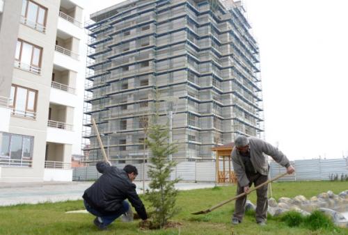 Meramda Yaplar Fidanlarla Ykseliyor 